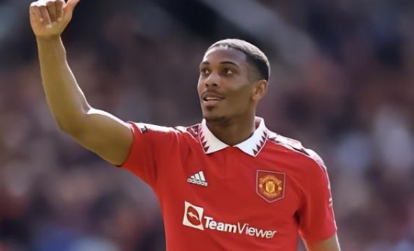 己的行动完 己的行动完